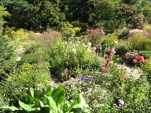 Karl Foerster Garten Potsdam Bornim Foto Brandt